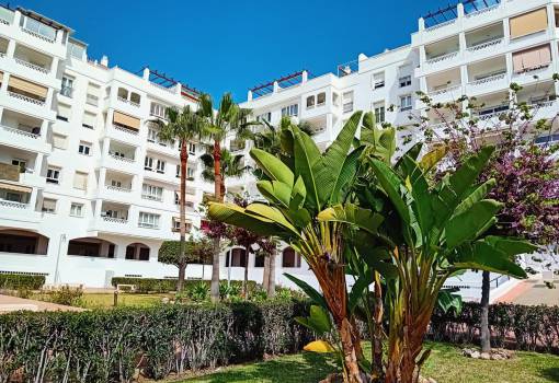 Apartment - Videresalg - Marbella - Nueva Andalucía