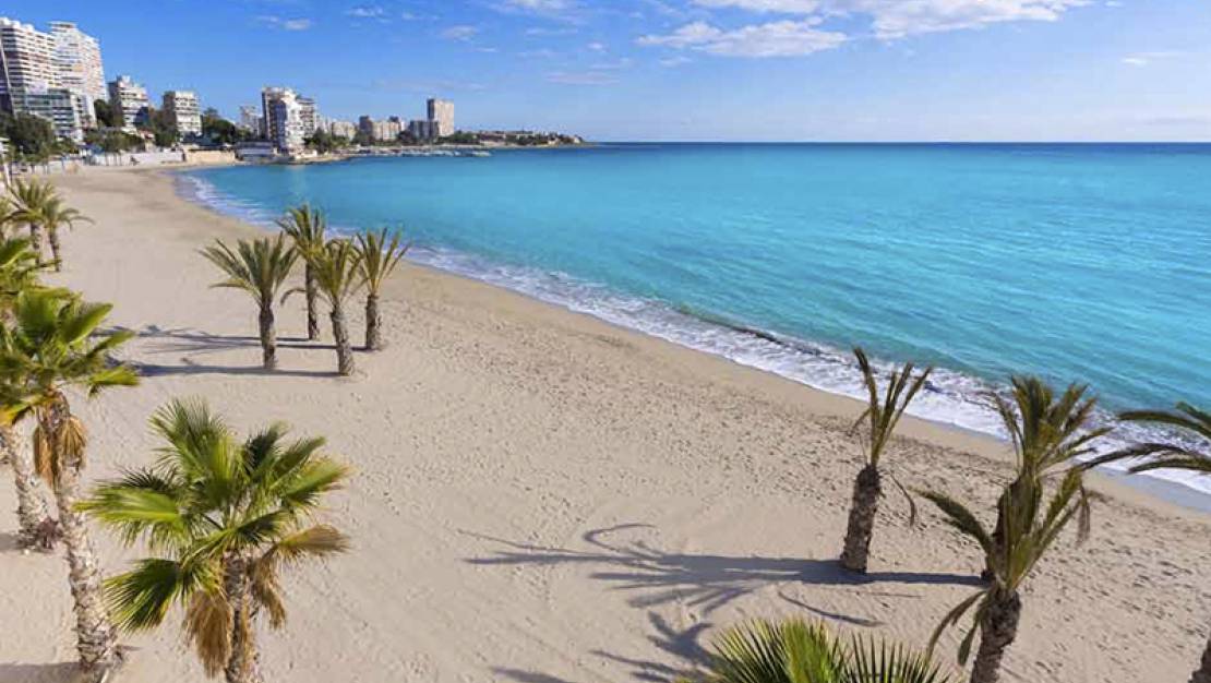 Nya varumärkesegenskaper - Villa - San Juan de Alicante - San Juan Playa