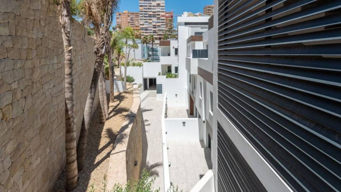 Biens Neufs - Appartement - Benidorm - PRIMERA LINEA