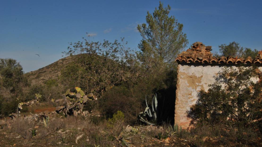 Продажа - сюжет - Benissa - Campo