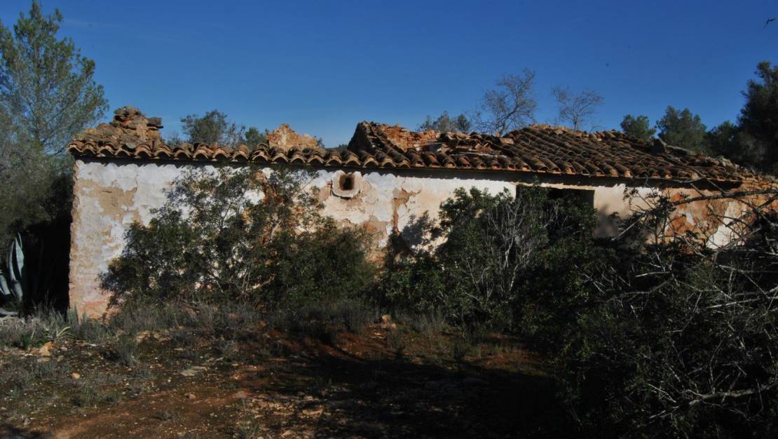 Resale - Plot - Benissa - Campo