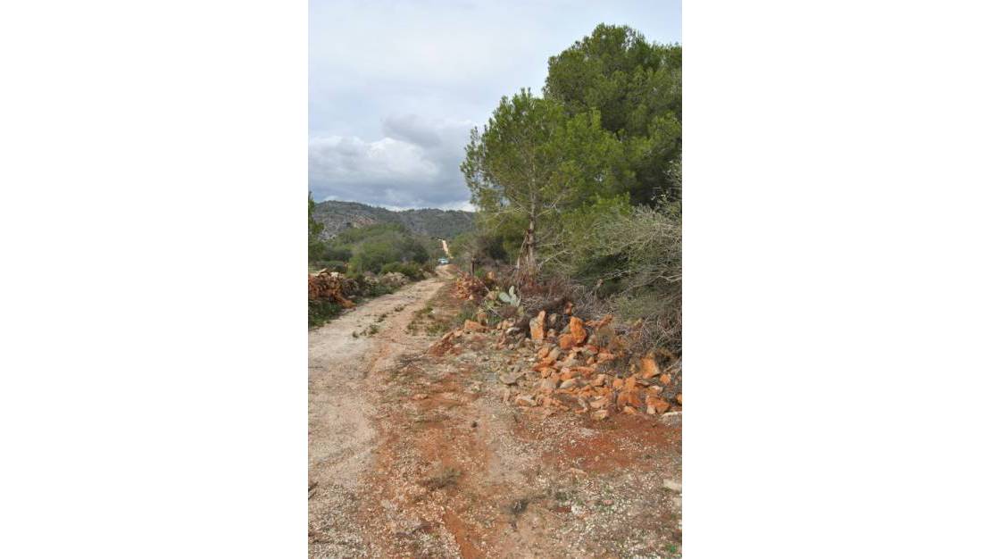 Resale - Plot - Benissa - Campo