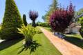 Resale - Villa - Aspe