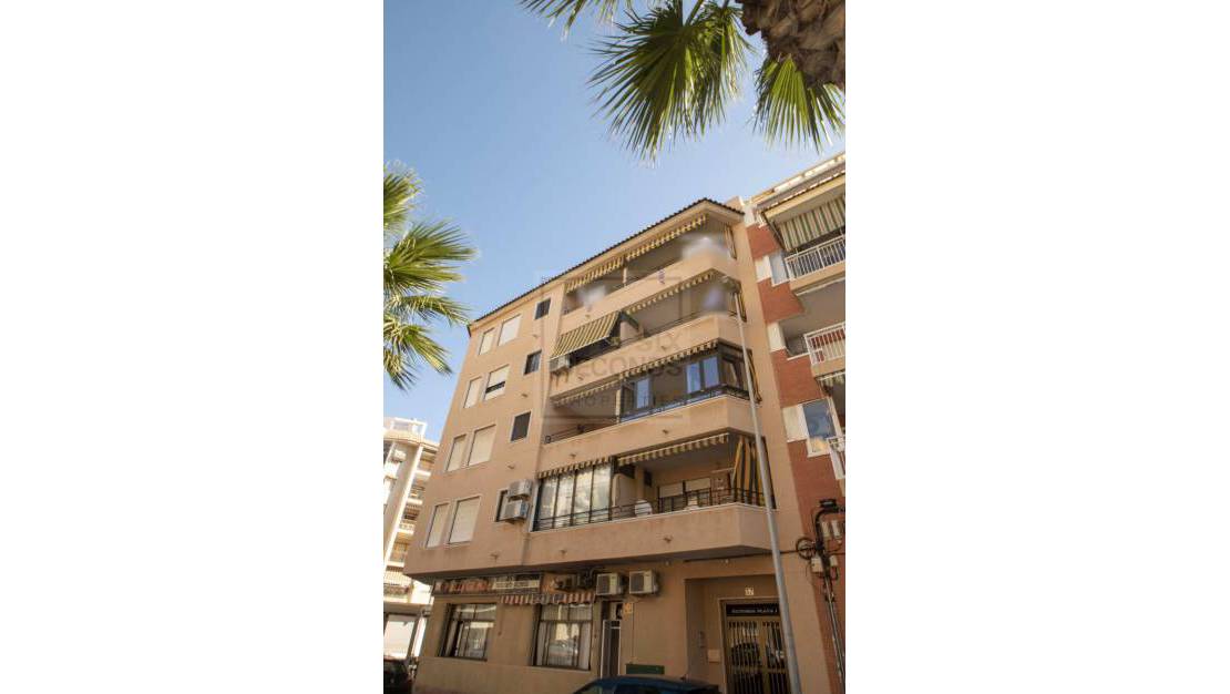 Rynek wtórny - Mieszkanie - Guardamar del Segura - Guardamar Playa