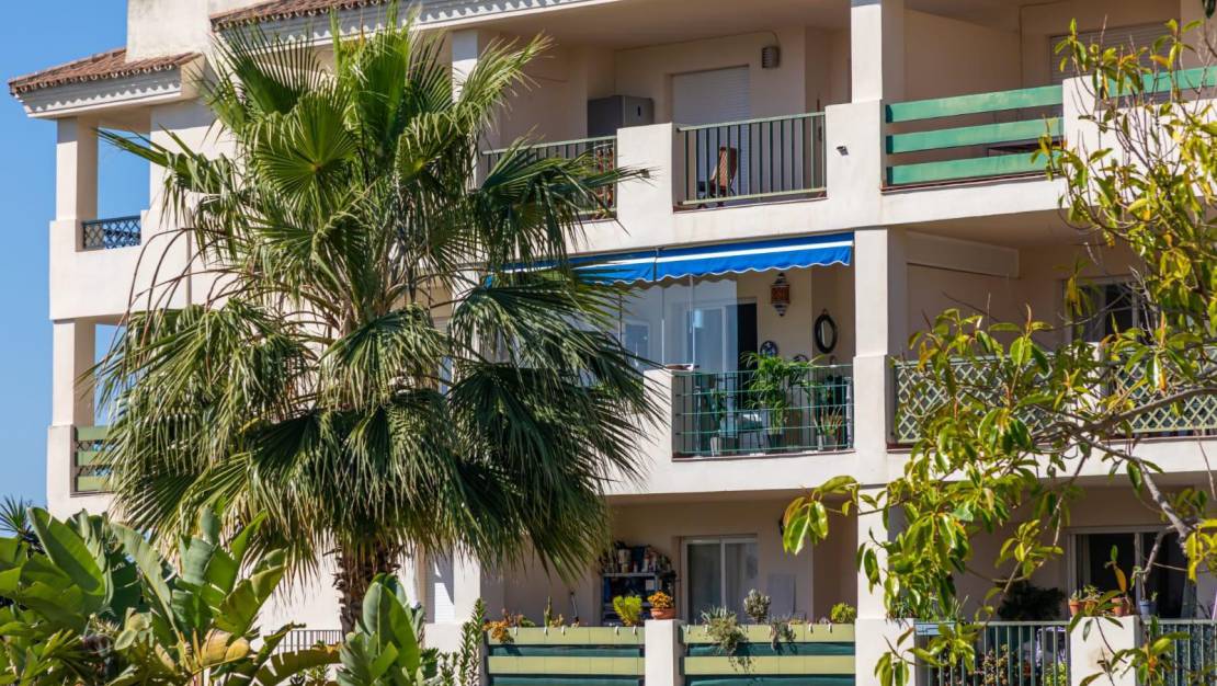 Segunda Mano - Apartmento / Piso - Marbella - Nueva Andalucía